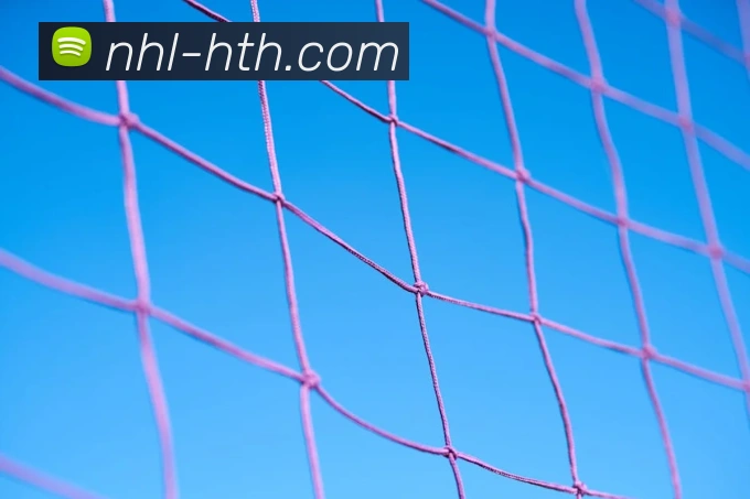 华体会发展历程